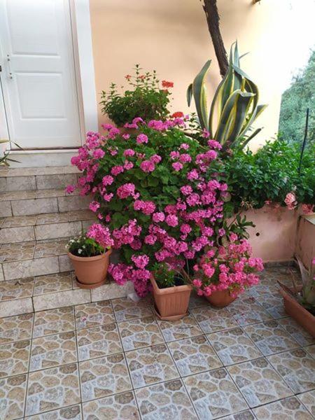 Villa Garden Of Olive Trees Asfendiles Exterior foto